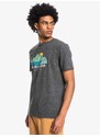 Quiksilver Scenicrecovery m tees Grey