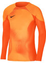 Dres s dlouhým rukávem Nike Dri-FIT ADV Gardien 4 Goalkeeper dh8346-819