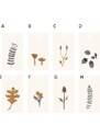 IB LAURSEN Papírové jmenovky na dárky Fading Fauna Varianta C