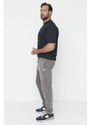 Trendyol Gray Men's Regular/Normal Cut Label Appliqued Rubber Leg Sweatpants