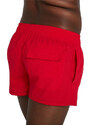 Dámské šortky Speedo Swim Short Fed Red