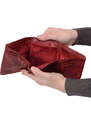 Dámská kožená peněženka Noelia Bolger červená 5122 NB CV