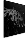Gario Obraz na plátně Černobílá monstera - Dmitry Belov Rozměry: 40 x 60 cm