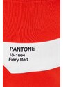 Bavlněné tepláky United Colors of Benetton X Pantone oranžová barva, s potiskem