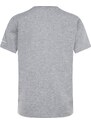 Converse dinoverse vertical all star ss tee GREY