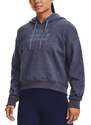 Mikina s kapucí Under Armour Essential Script Hoodie 1374107-558