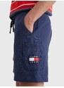 Tommy Hilfiger Tmavě modré pánské teplákové kraťasy Tommy Jeans - Pánské