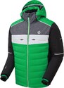 Pánská zimní bunda Dare2b CIPHER zelená/černá
