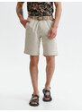 Top Secret MEN'S SHORTS