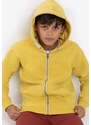 Volcano Kids's Regular Hoodie B-Star Junior B01194-S22