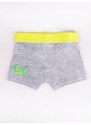 Yoclub Kids's Cotton Boys' Boxer Briefs Underwear 2-pack BMB-0011C-AA30-001