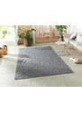 NORTHRUGS - Hanse Home koberce Kusový koberec Braided 105551 Light Grey – na ven i na doma - 80x150 cm