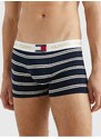 Bílo-modré pánské pruhované boxerky Tommy Hilfiger Underwear - Pánské