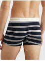 Bílo-modré pánské pruhované boxerky Tommy Hilfiger Underwear - Pánské