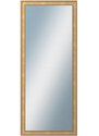DANTIK - Zarámované zrcadlo - rozměr s rámem cca 50x120 cm z lišty TOOTH malá zlatá (3161)