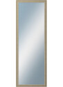 DANTIK - Zarámované zrcadlo - rozměr s rámem cca 50x140 cm z lišty LYON stříbrná (2704)