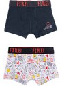 Yoclub Kids's Cotton Boys' Boxer Briefs Underwear 2-pack BMB-0009C-AA30-001