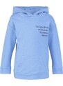 Trendyol Light Blue Great Wave Licensed Printed Boy Knitted Thick Sweatshirt