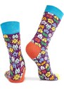 FASARDI Dámské ponožky s barevnými vzory