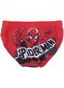 SWIM SLIP SPIDERMAN