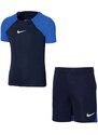 Dětské kalhoty Academy Pro Junior DH9484 451 - Nike