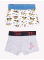 Yoclub Kids's Cotton Boys' Boxer Briefs Underwear 2-pack BMB-0008C-AA30-001