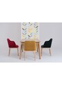 Nordic Design Tmavě šedá sametová jídelní židle Lola s područkami