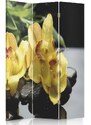 Gario Paraván Kouzlo žluté orchideje Rozměry: 110 x 170 cm, Provedení: Klasický paraván