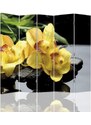 Gario Paraván Kouzlo žluté orchideje Rozměry: 110 x 170 cm, Provedení: Klasický paraván