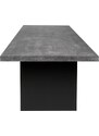 Betonově šedý jídelní stůl TEMAHOME Detroit 160 x 80 cm