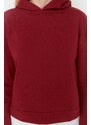 Trendyol Claret Red Regular/Normal Pattern Basic Hooded Thick Inside Fleece Knitted Sweatshirt