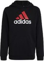 Dětská mikina Big Logo 2 Hoody Jr HR6370 - Adidas