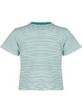 Trendyol Striped Green Ecru Premium Basic Crew Neck Knitted T-Shirt