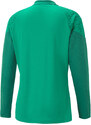 Triko s dlouhým rukávem Puma teamCUP Training 1/4 Zip Top 657982-005