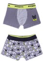 Yoclub Kids's 2Pack Boy's Boxer Briefs BMB-0018C-AA30