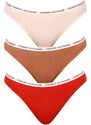3PACK dámské kalhotky Tommy Hilfiger nadrozměr vícebarevné (UW0UW04023 0R2)