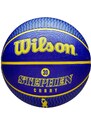 Míč Wilson NBA PLAYER ICON OUTDOOR BSKT CURRY wz4006101xb