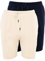 Trendyol Navy Blue-Stone Basic Regular/Normal Cut 2-Pack Shorts