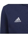 Dětská bavlněná mikina adidas Entrada 22