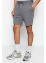 Trendyol Limited Edition Basic Anthracite Regular/Normal Fit Labeled Lace Up Shorts