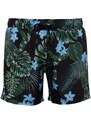 Trendyol Black Standard Swimsuit Marine Shorts