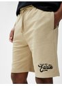 Koton Slogan Printed Shorts With Lace-Up Waist, Slim Fit. Pocket Detailed.