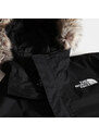 The North Face PÁNSKÁ BUNDA RECYCLED ZANECK Z RECYKLOVANÉHO MATERIÁLU