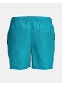 JACK&JONES JPSTFIJI JJSWIM BRANDED MINI