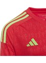 Dres s dlouhým rukávem adidas T23 C GK JSY LY hk7690