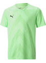 Dres Puma teamGLORY Jersey Jr 70530920