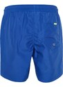 Trendyol Blue Basic Standard Size Marine Shorts