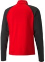 Triko s dlouhým rukávem Puma teamLIGA 1/4 Zip Top 65723601