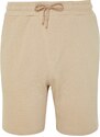 Trendyol Limited Edition Beige Regular 100% Cotton Textured Shorts