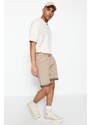 Trendyol Beige Men's Regular Mid-Length/Regular Cut Striped Shorts.